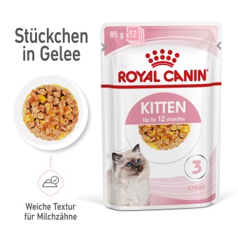Royal Canin Kitten Nassfutter in Gelee 12x85 g 