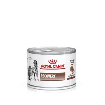 Royal Canin Recovery Nassfutter 12 x 195 g