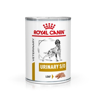 Royal Canin Urinary S/O Mousse Nassfutter Hund 12 x 410g