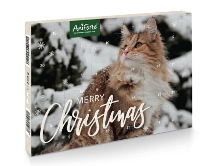 AniForte Adventskalender 2023 für Katzen 