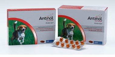 Antinol für Hunde 60 Kapseln 