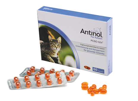 Antinol für Katzen 60 Kapseln 
