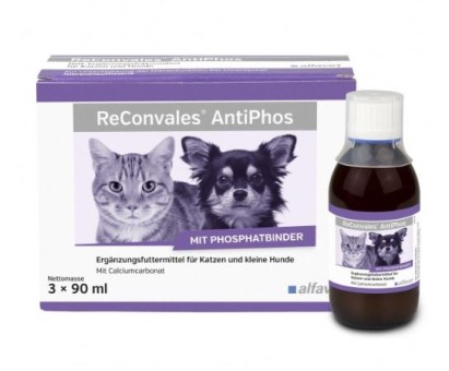 ReConvales AntiPhos 3x90 ml