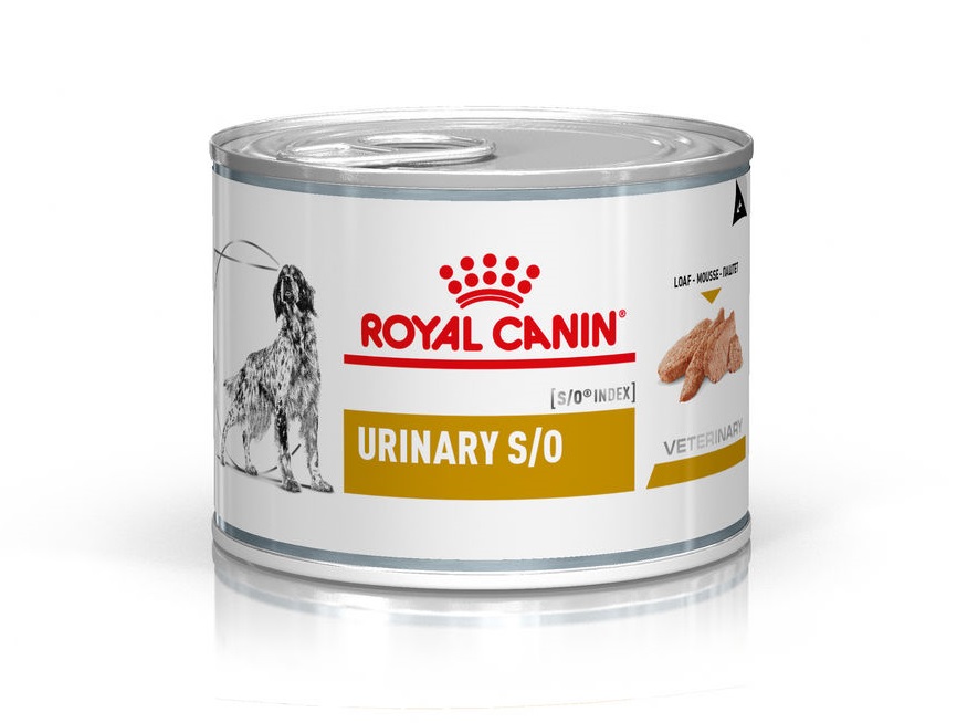 Royal Canin Urinary S/O Hund Mousse 